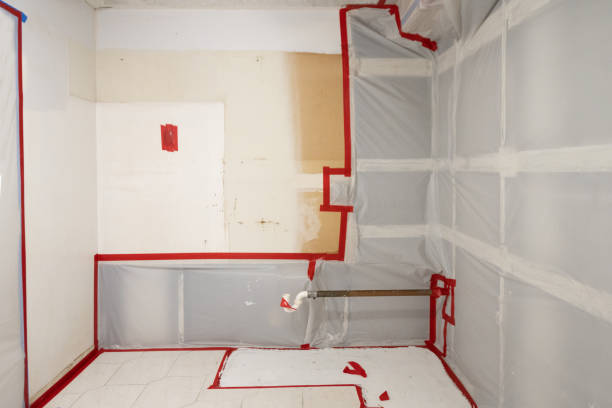 Best Attic Mold Removal  in Elizabeth City, NC