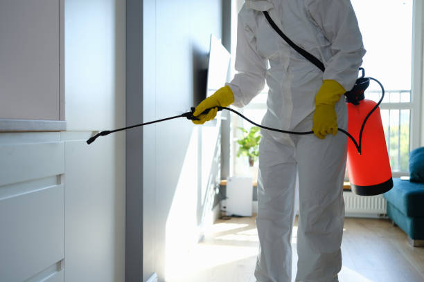 Best Post-Construction Mold Inspection  in Elizabeth City, NC