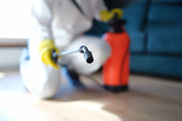 Elizabeth City, NC Mold Removal Company