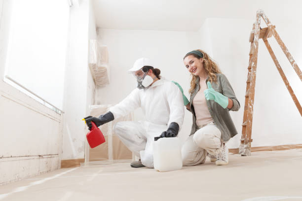 Best HVAC Mold Inspection and Cleaning  in Elizabeth City, NC