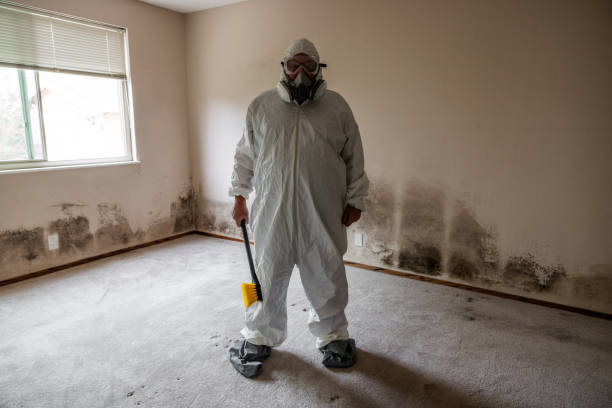 Best Mold Odor Removal Services  in Elizabeth City, NC